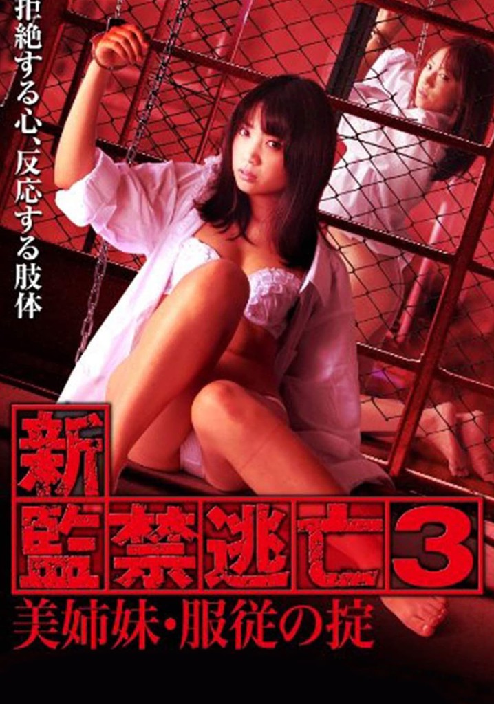 Escape Captivity 3: The Beautiful Sisters' Law of Submission