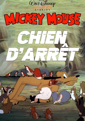 Chien d'Arrêt