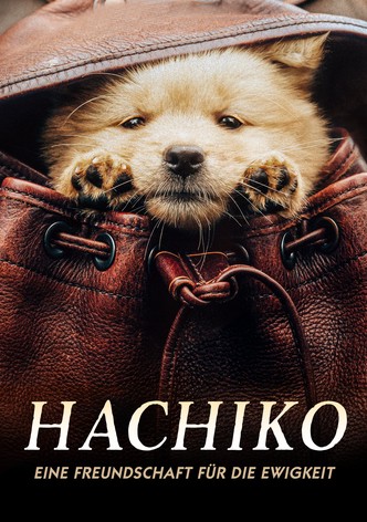 Hachiko - Eine Freundschaft für die Ewigkeit