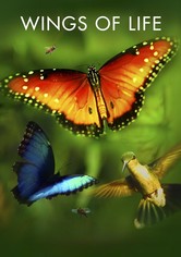 Wings of Life