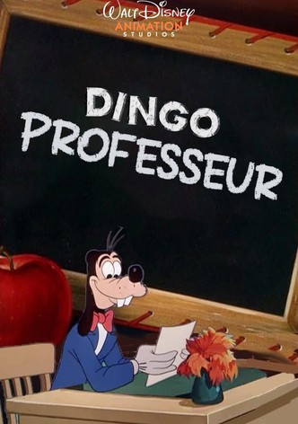 Dingo Professeur