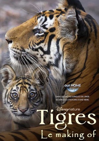 Tigres : Le Making of