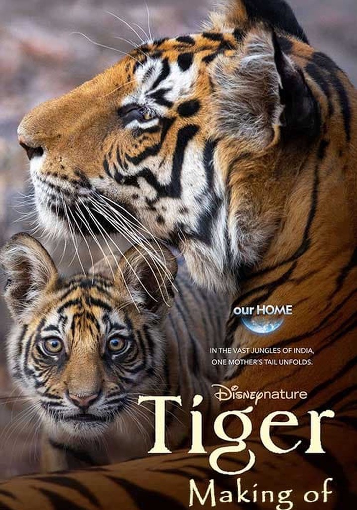 Tigres : Le Making of