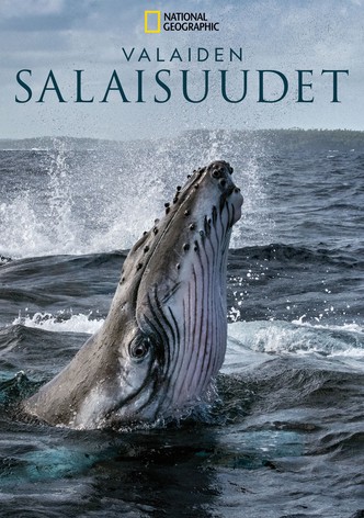 Valaiden salaisuudet