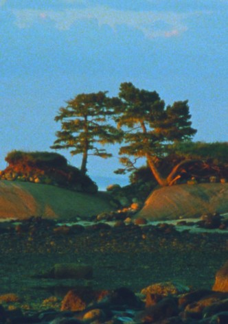 Two Trees