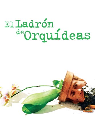 Adaptation. El ladrón de orquídeas