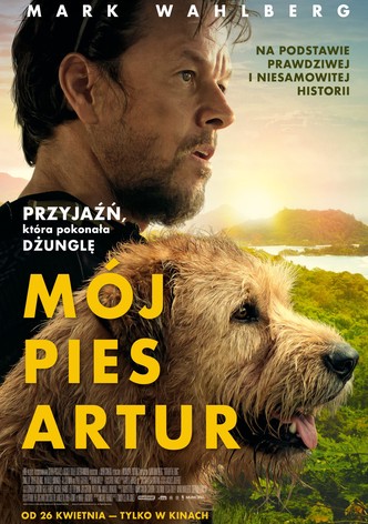 Mój pies Artur