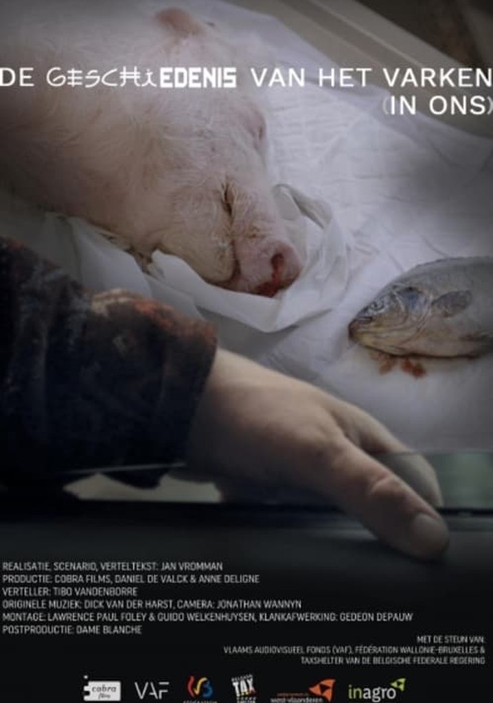 The History of the Pig (Within Us)