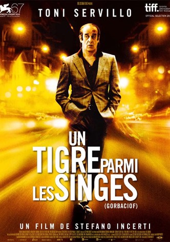 Un tigre parmi les singes