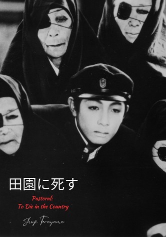 Cache-cache pastoral