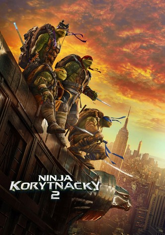 Ninja korytnačky 2