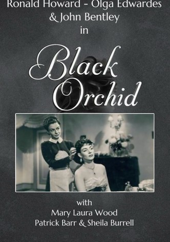 Black Orchid