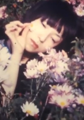 Chrysanthemum Inspiration