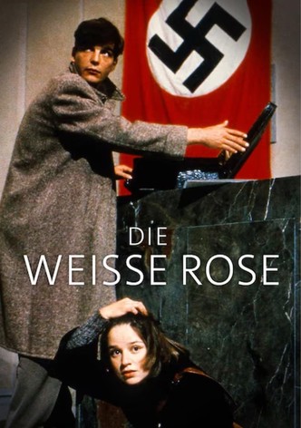 Die weiße Rose