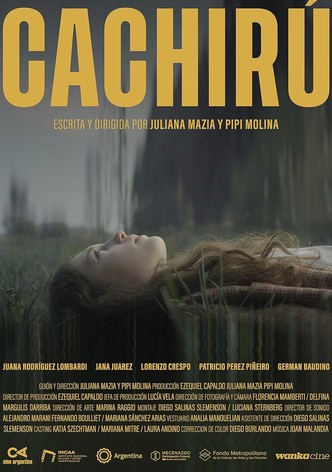 Cachirú