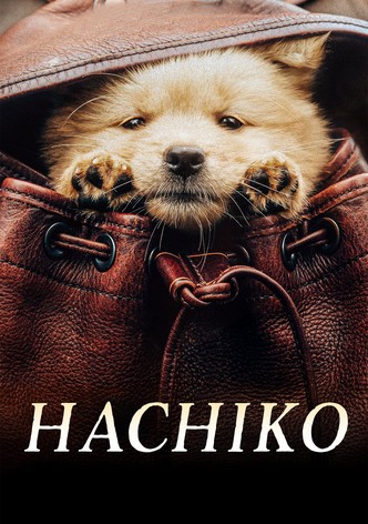 Hachiko
