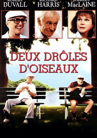 Deux drôles d'oiseaux