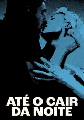 ATÉ O CAIR DA NOITE