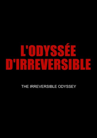 The Irreversible Odyssey