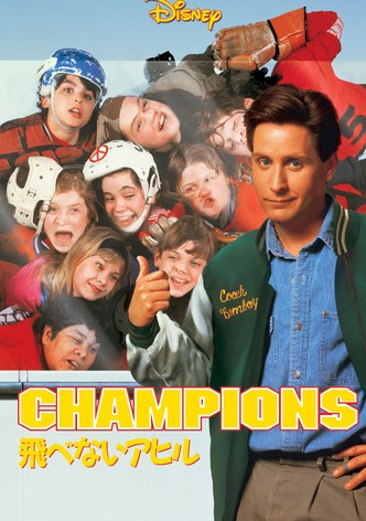 飛べないアヒル