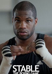 Stable: The Boxing Game
