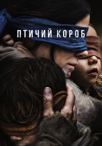 Птичий короб