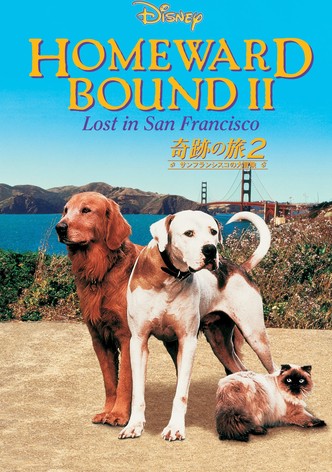 奇跡の旅 2 サンフランシスコの大冒険