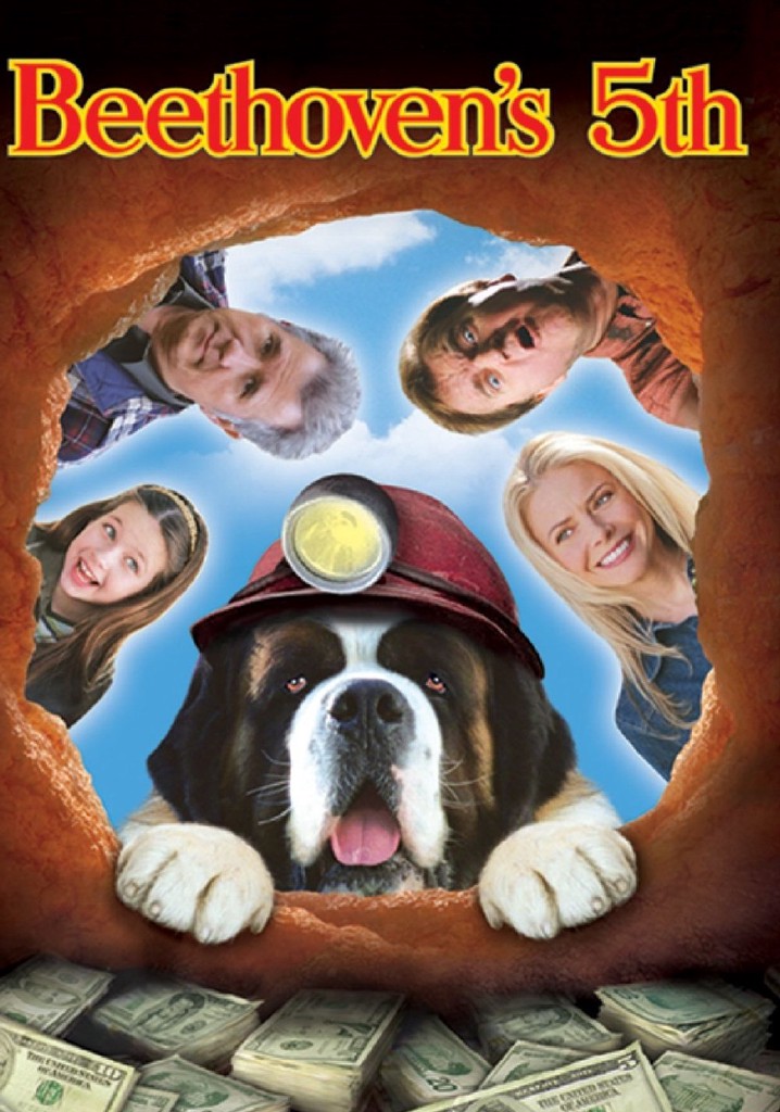 Afacan Köpek Beethoven 5