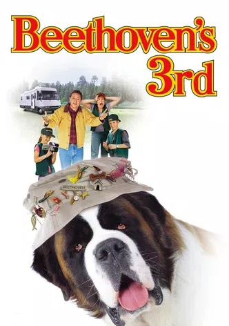 Beethoven's 3rd poster