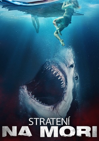 Requin Evolúcia