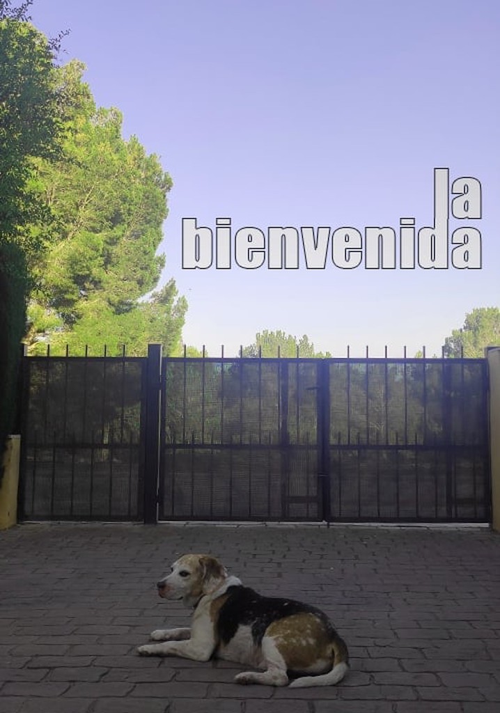 La bienvenida