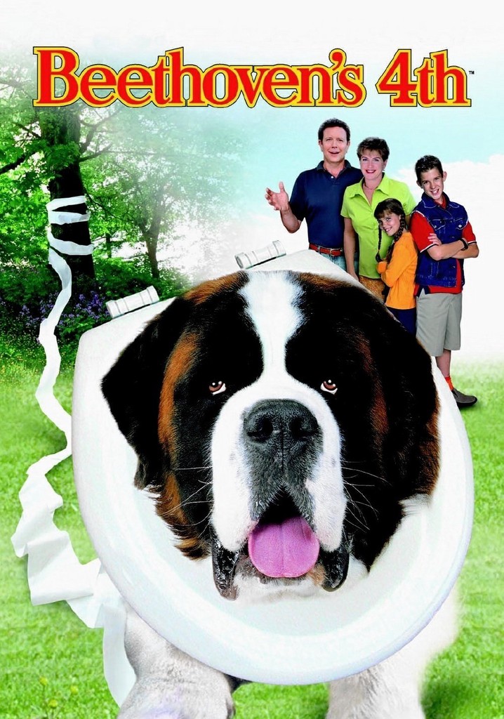 Afacan Köpek Beethoven 4