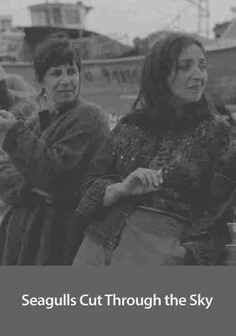 Seagulls Cut Through the Sky