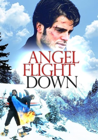 Angel Flight Down