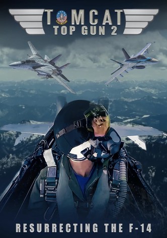 Tomcat: Top Gun 2, Resurrecting the F-14