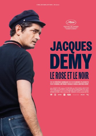 Jacques Demy, le rose et le noir