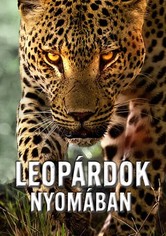 Leopárdok nyomában