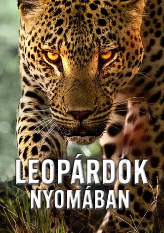Leopárdok nyomában