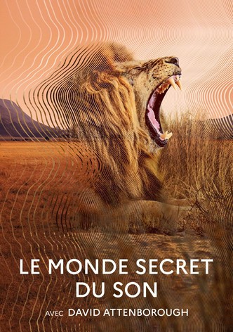 Secret World of Sound with David Attenborough