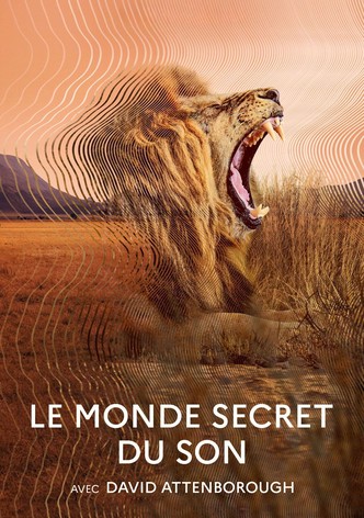 Le Monde secret des sons avec David Attenborough