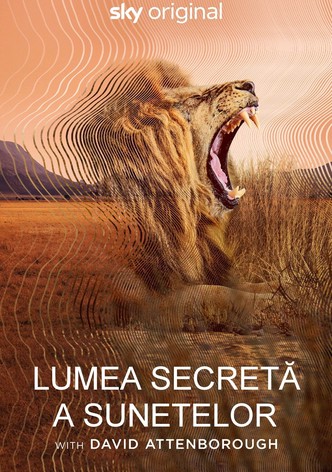 Lumea secretă a sunetelor cu David Attenborough