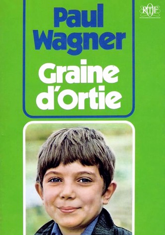 Graine d'Ortie