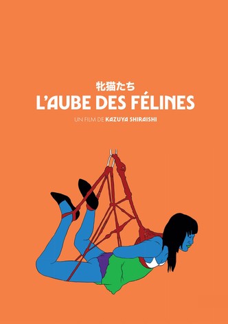 L'Aube des félines