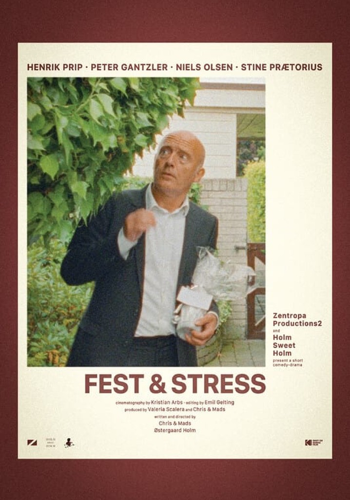 FEST & STRESS