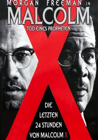 Malcolm X - Tod eines Propheten