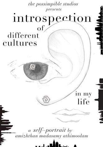 Introspection of different cultures in my life