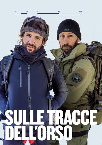 Sulle tracce dell'orso