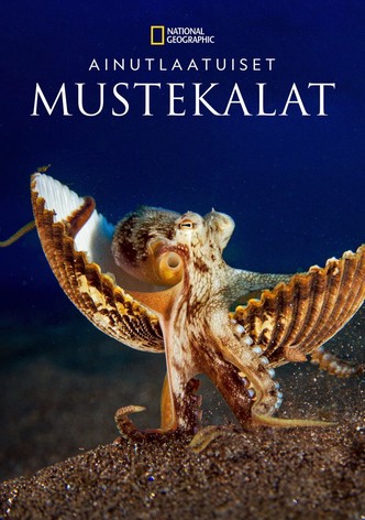 Ainutlaatuiset mustekalat