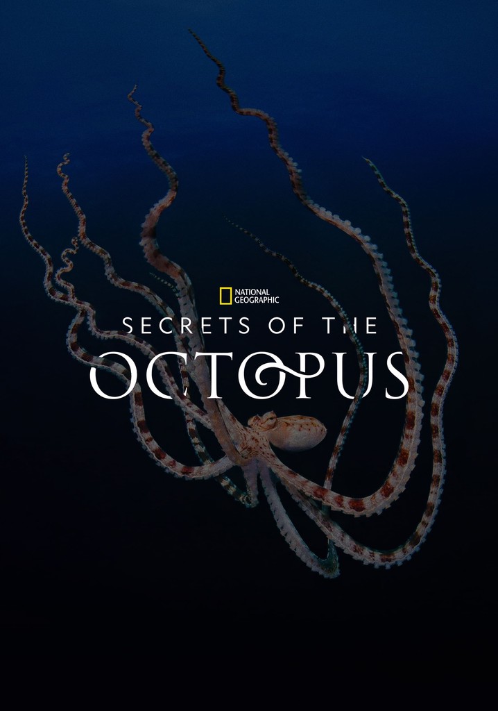 Secrets of the Octopus - streaming tv show online