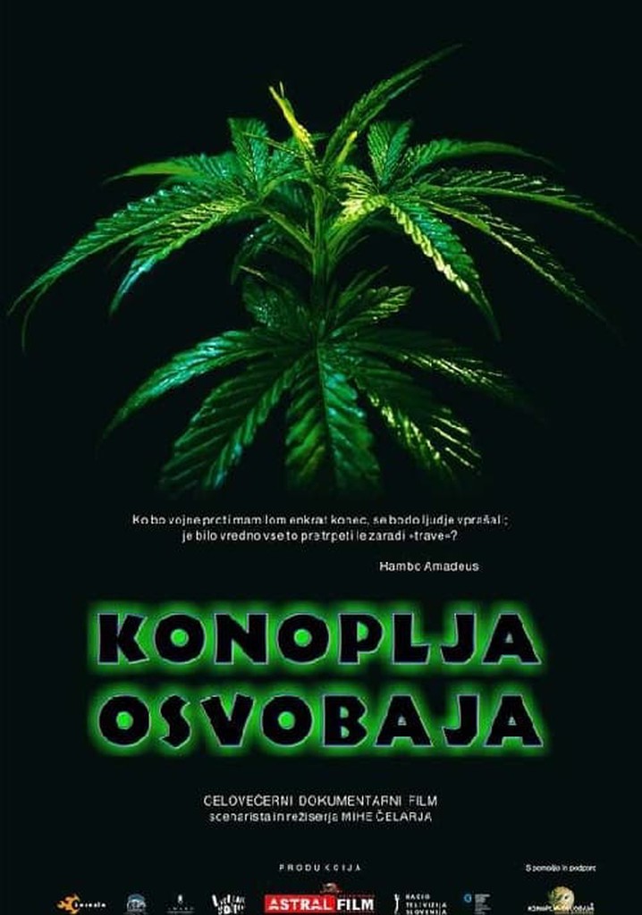 Cannabis Sets You Free